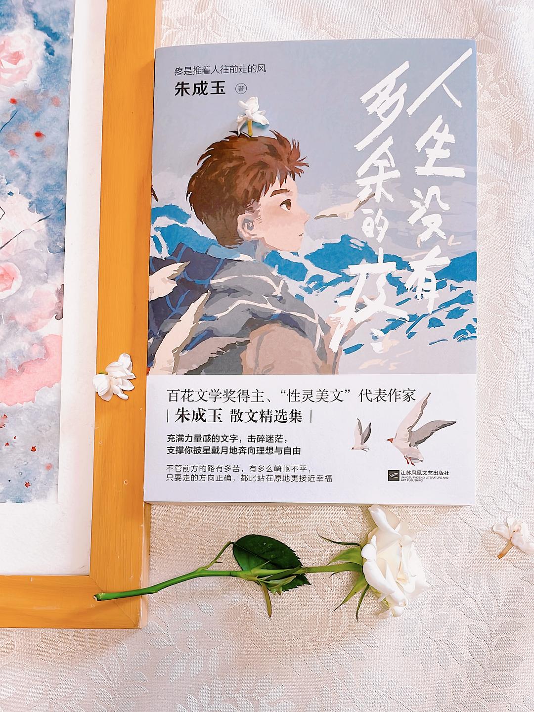 《人生没有多余的疼》|适合中学生阅读和仿写的散文集