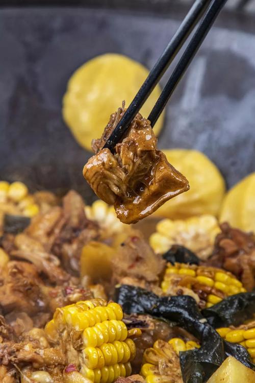 小伙养鹅养鸡上千只大鹅全卖了,养鹅被大雁带走2000只