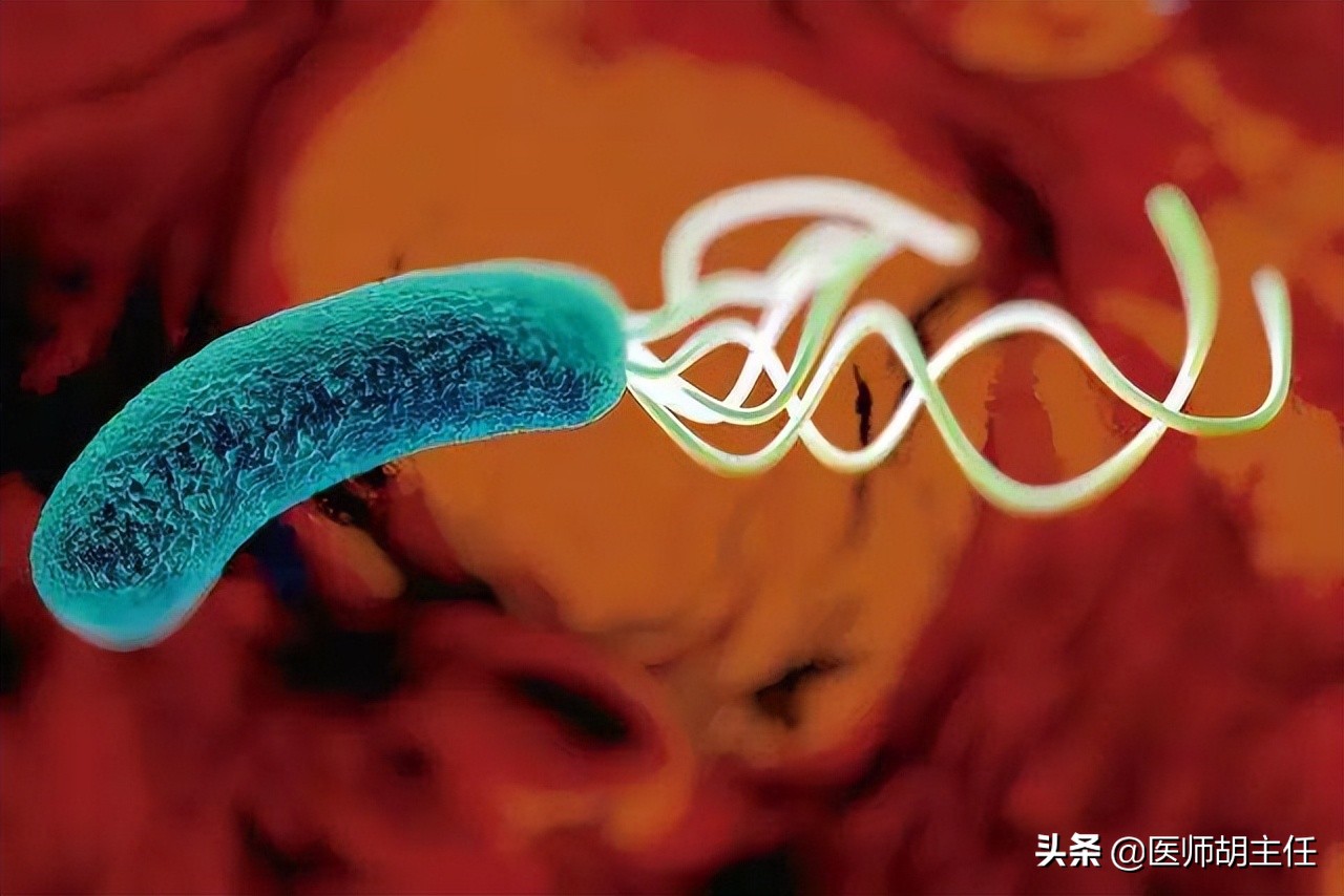 肠道有息肉会出现什么症状,肠道长了息肉有什么症状