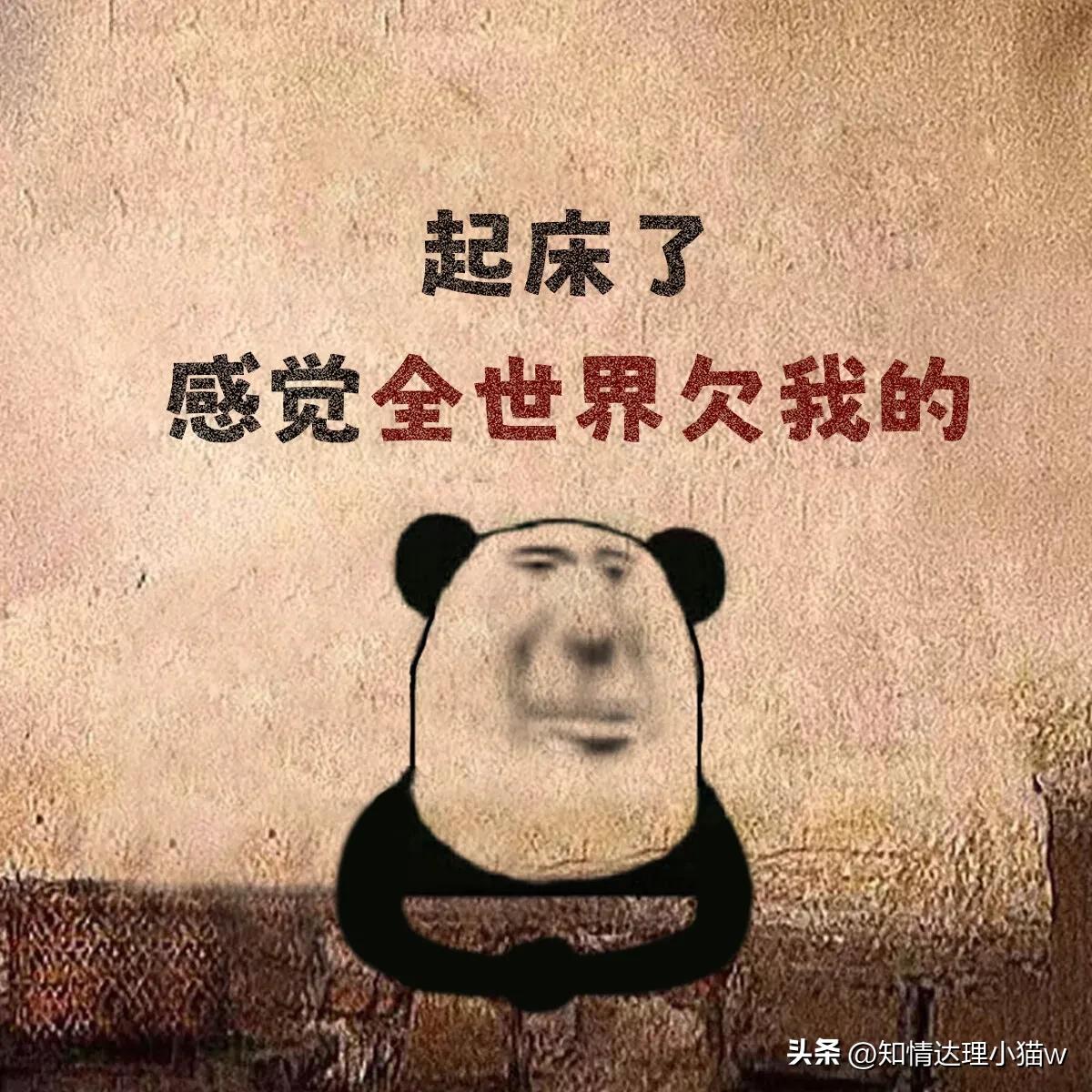 微信背景图年轻活力,微信背景图暴富与自由