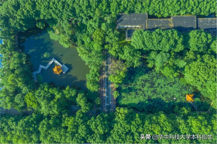 华中科技大学“专属五福”来了！5张“虎年福卡”正在派送，见者有份！