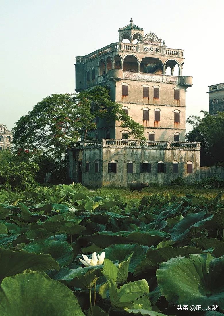 周润发刘德华感动视频,周润发惊呆大陆的视频
