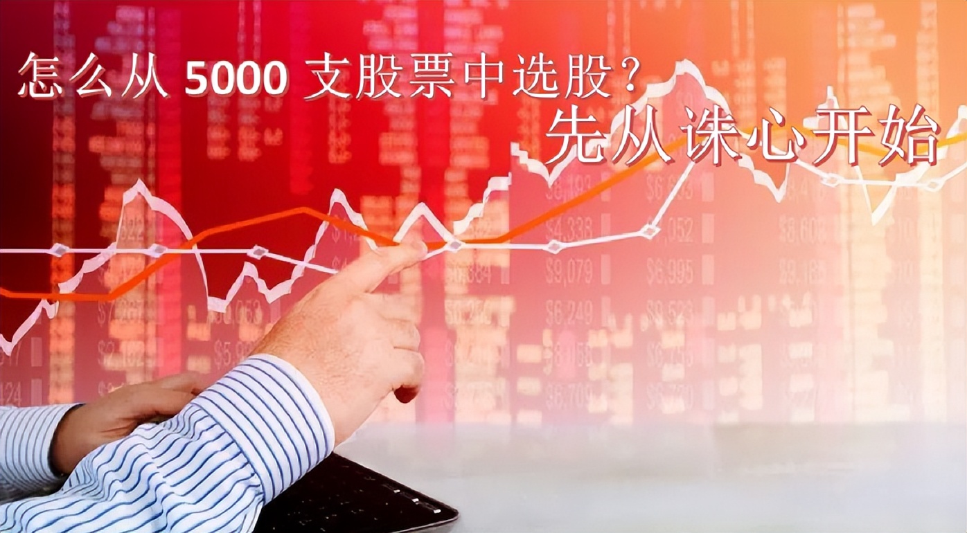 如何从5000多只股票中选出好股票,选择一支优秀的股票