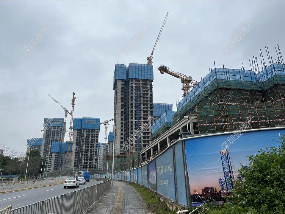 榫欏崕涔版埧鎸囧崡杩欎簺妤肩洏鍊煎緱鍏虫敞,娣卞湷榫欏崕涔版埧韪╅浄