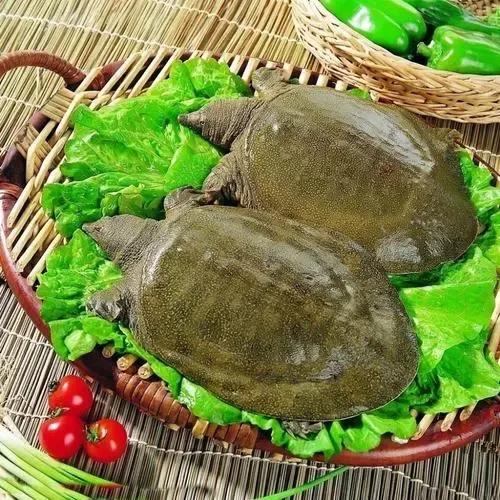 三观一致世界观,聊三观聊世界观