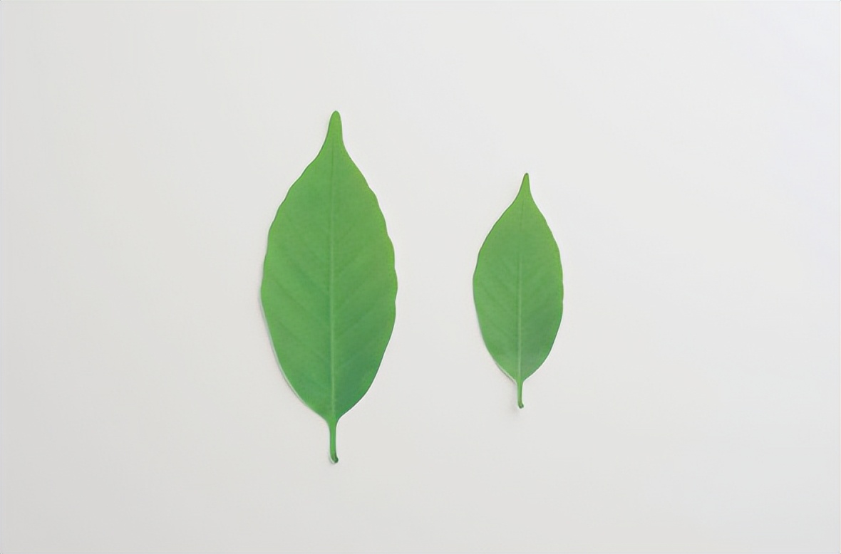 奇奇怪怪又可可爱爱的杂货,都在日本人玩不完的脑洞里