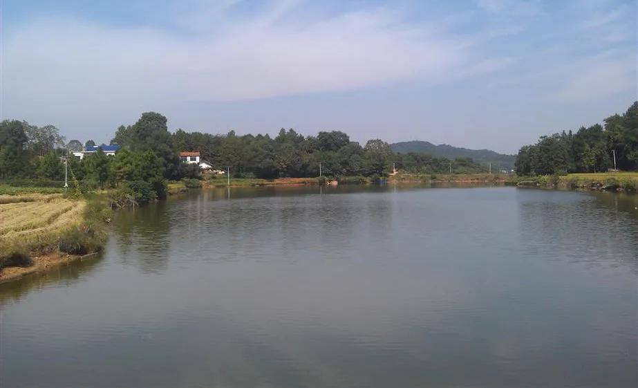 宁乡桃林镇,长沙市道林镇