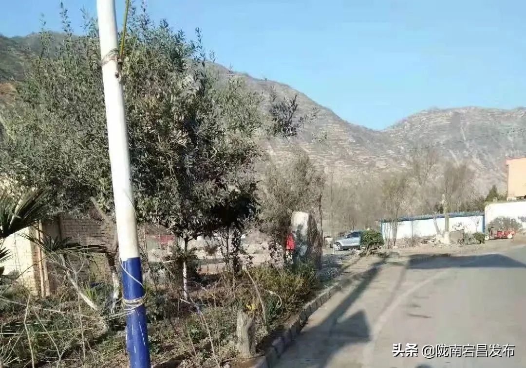 沙湾文化长廊,沙湾特色文化墙规划