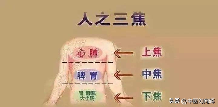 脾胃湿热下焦湿热大腿潮湿,大腿深处湿热吃什么中成药