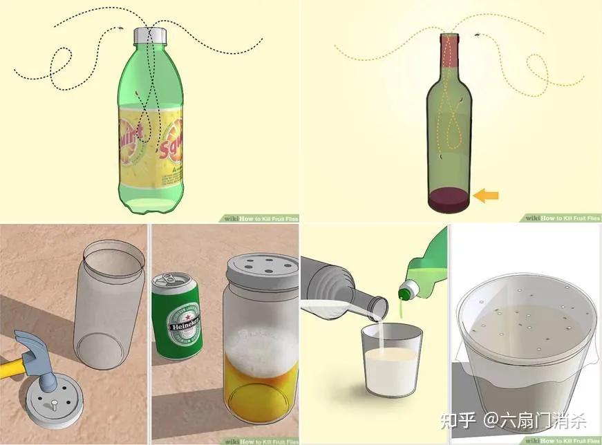 夏天果蝇从哪儿来,天气变暖好多果蝇