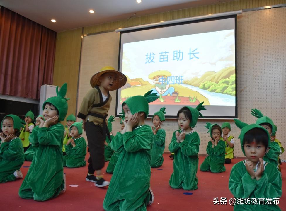 新闻周播报视频,新闻周播报