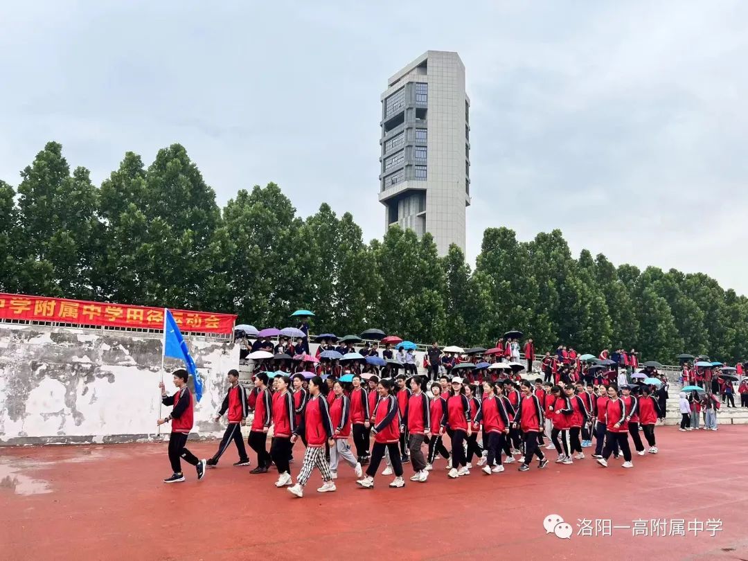 运动健儿展风采,运动展风采视频