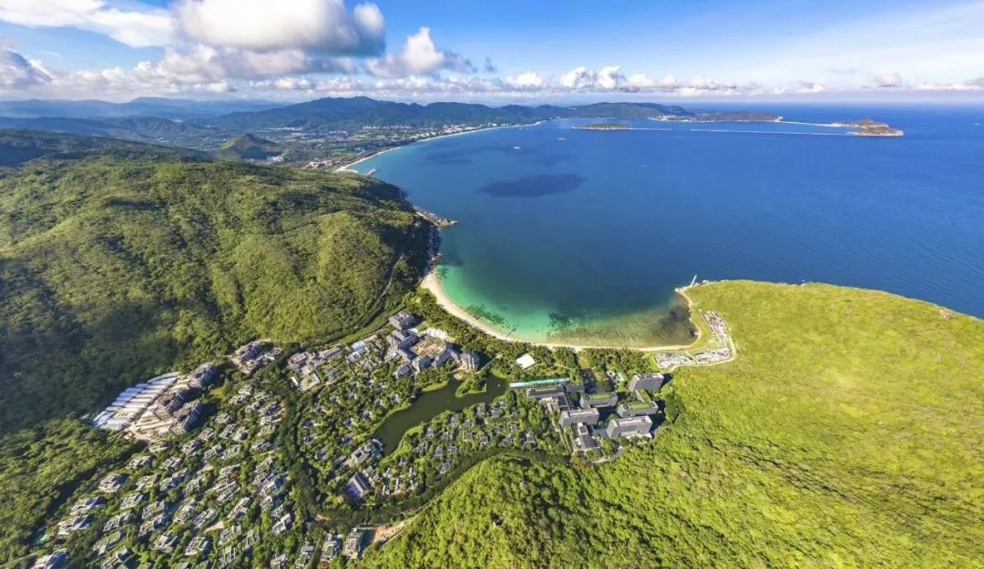 抖音电商商品上架,抖音电商山茶油