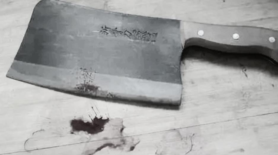 李磊灭门案真实原因,北京李磊杀其全家纪实