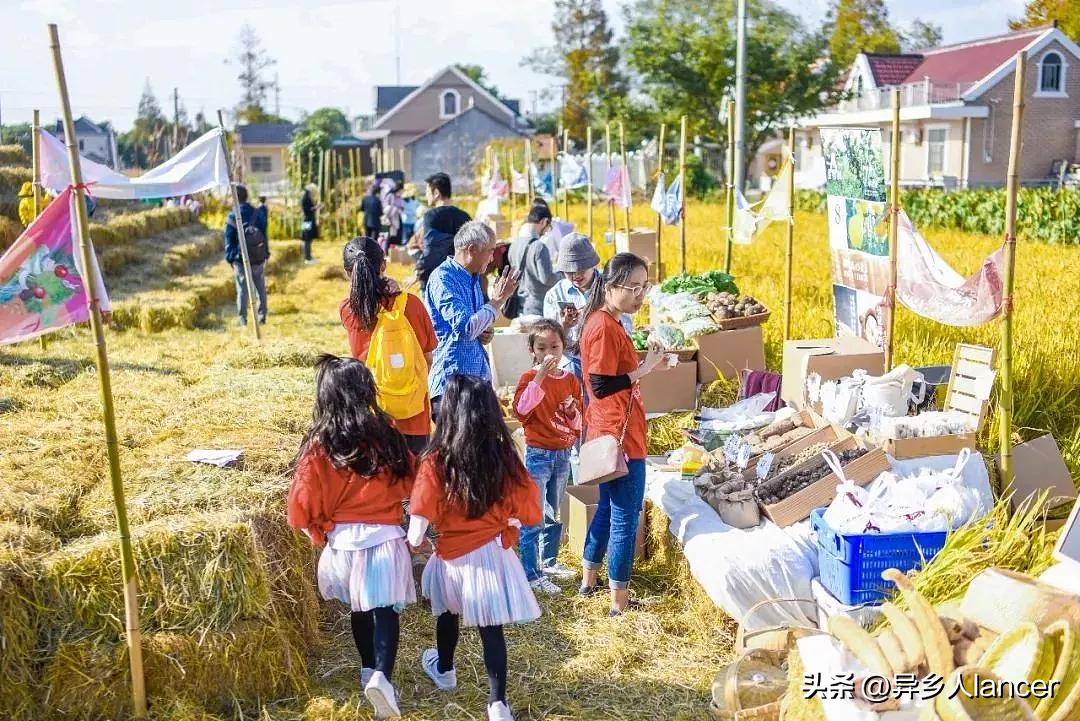 家庭农场：是否能成为乡村致富的新风口？