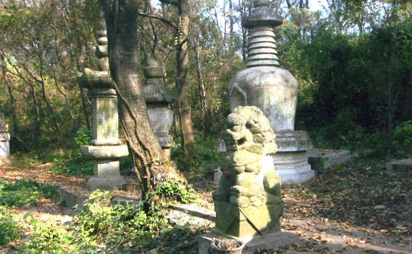 12月南京有哪些免费景点,南京市民免费旅游景点