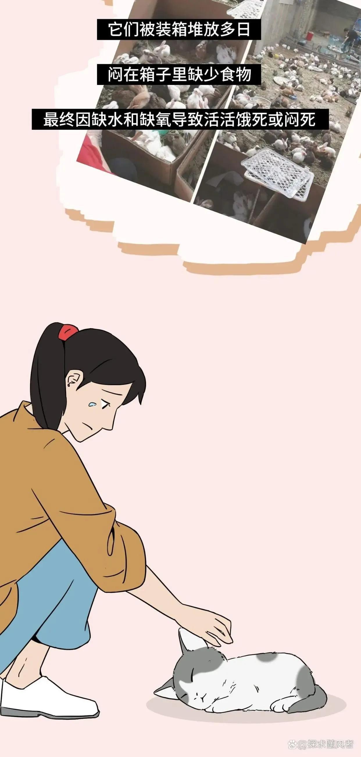 救救我我不想死日语,救救我漫画免费观看