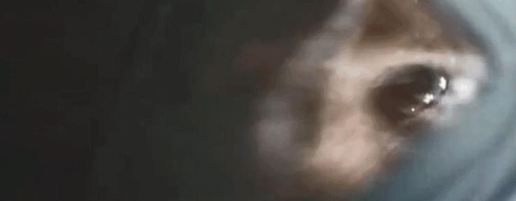 科幻电影外星绿植,最刺激的外星科幻电影