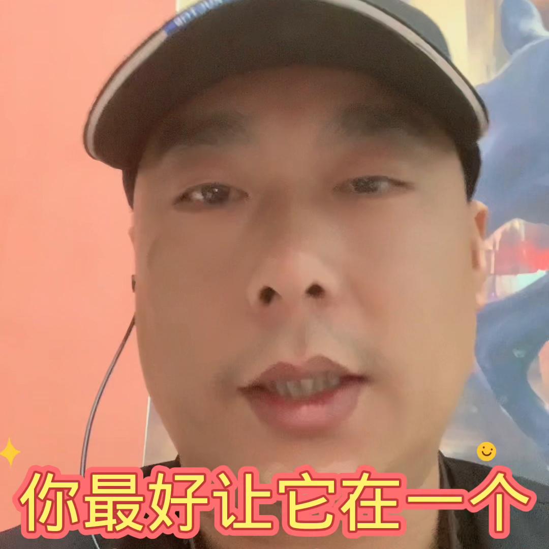 新买的狗到家，预防应急是关键！家中常备肠胃宝，轻松养...