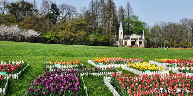 国庆杭州旅游攻略必去景点排名,十一杭州旅游景点推荐