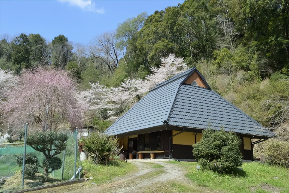 日本入境政策再次放宽，爱彼迎发布春季热门赏樱榜