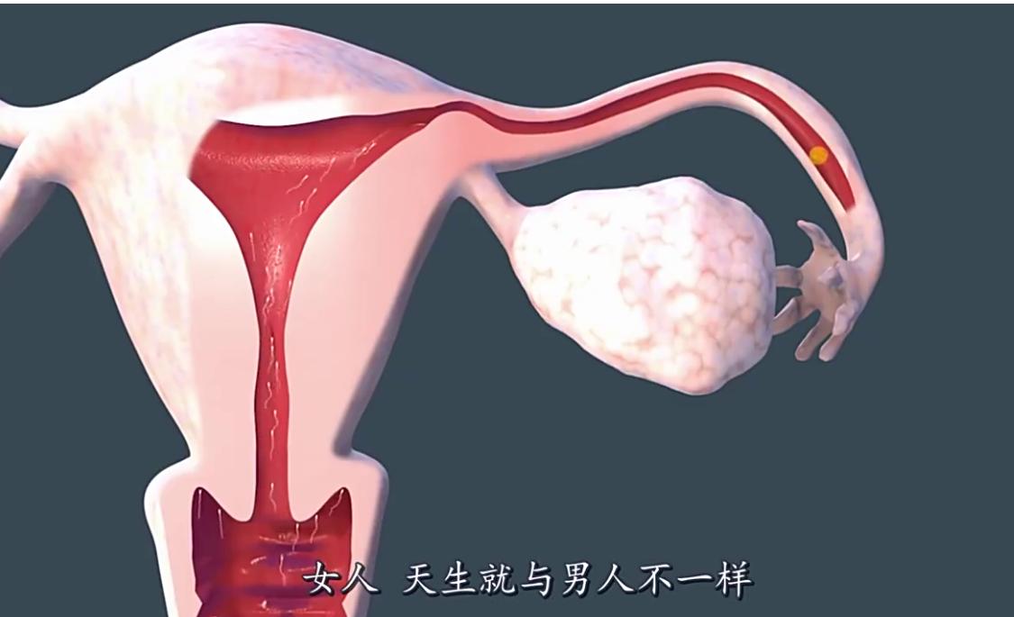 没有子宫的女人危害,没有子宫对另一半的影响