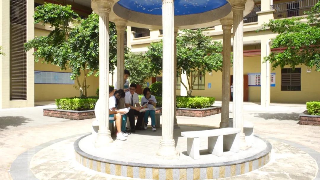 开学肇庆市,高新区学校开学