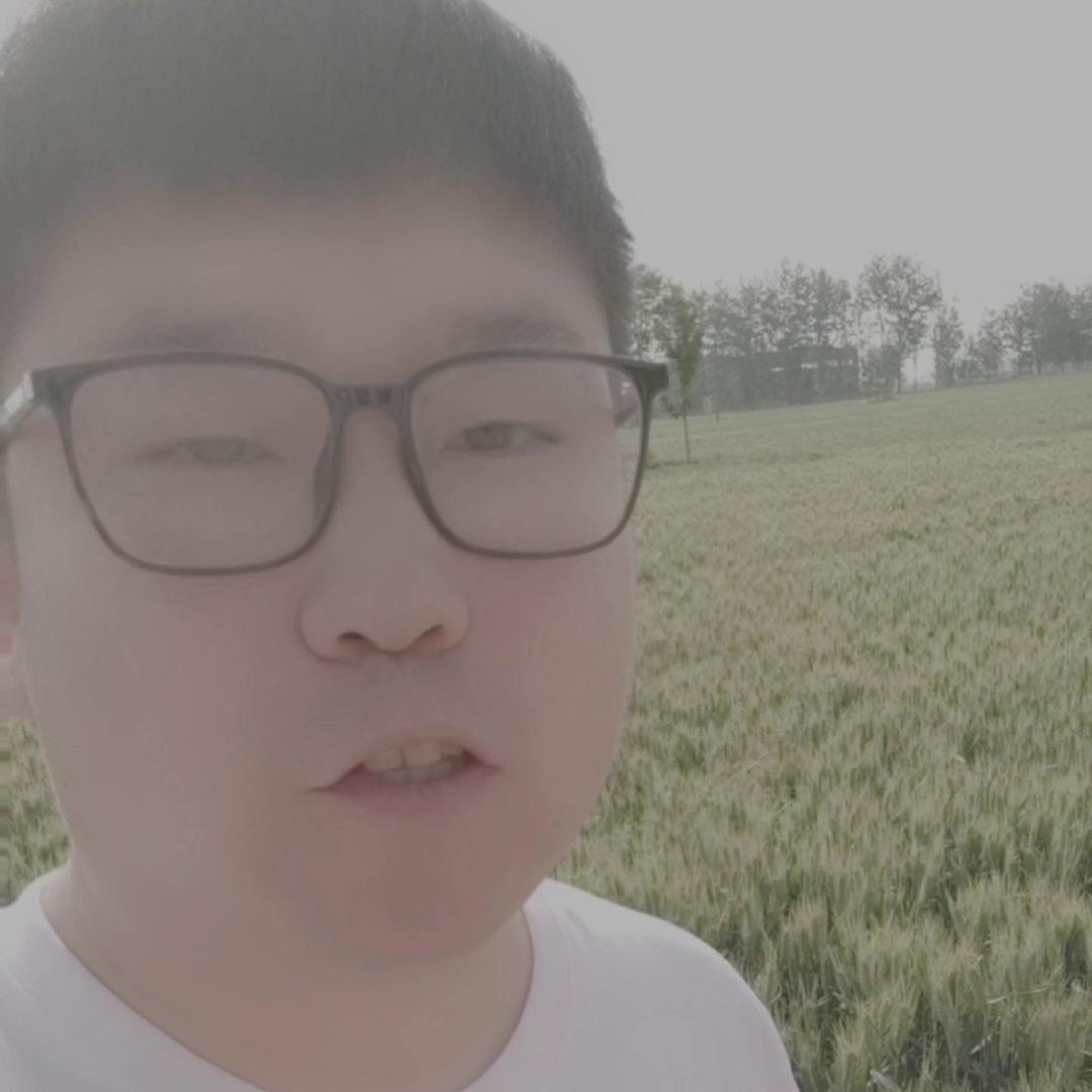 100元左右的玉米能买什么,100元的玉米肥