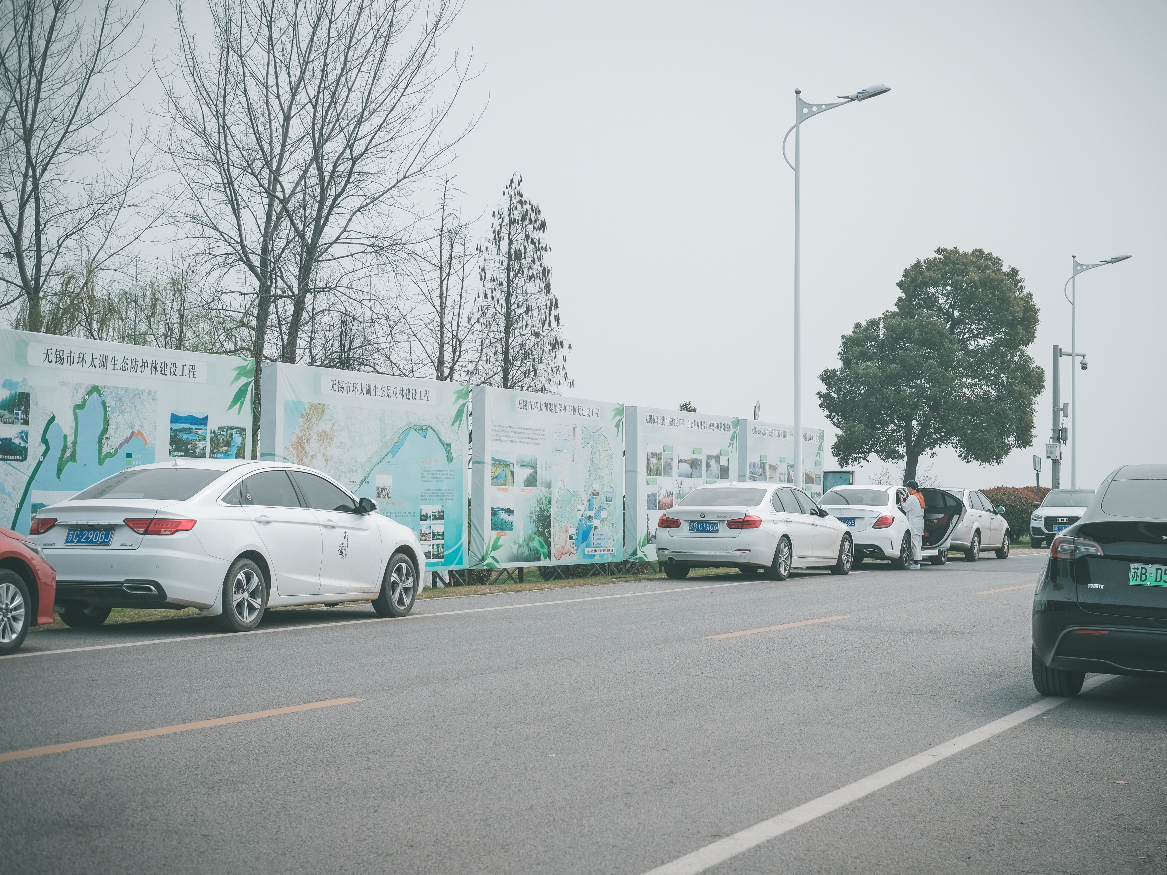 无锡踏青挖野菜好去处,无锡哪里可以挖得到野生的荠菜