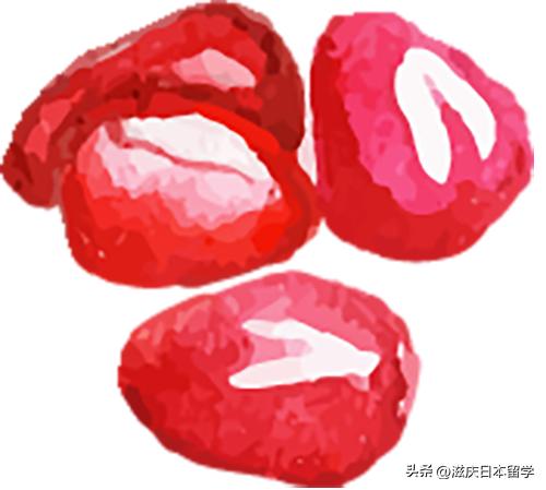 选择合适孩子的高中,选择高中怎么选