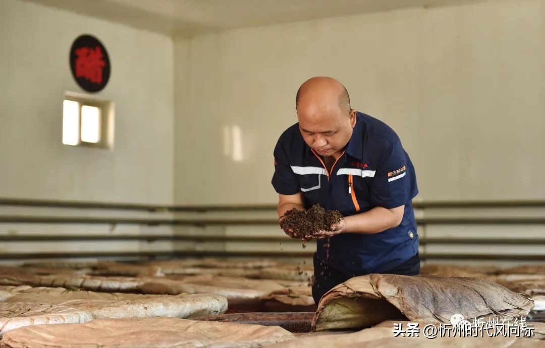 高手在民间师傅的绝活,高手在民间曾仕强