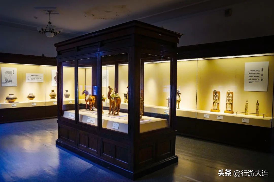 漫步银杏海~大连最美秋日在这里