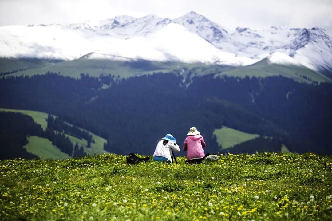 那拉提空中草原雪景照片,大草原的壮丽雪景图