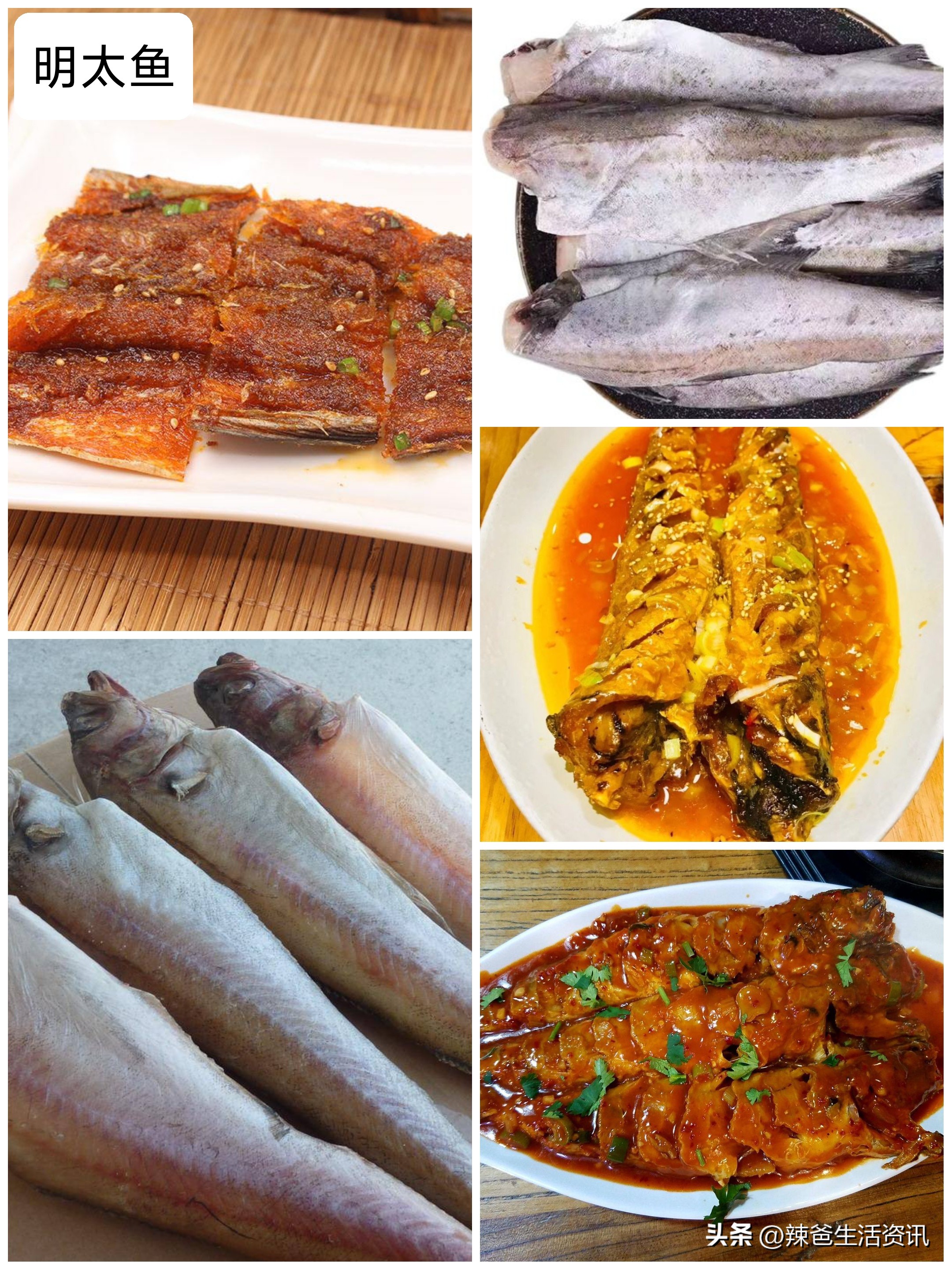 好吃的常见海鱼,比较好吃又便宜的海鱼有哪些