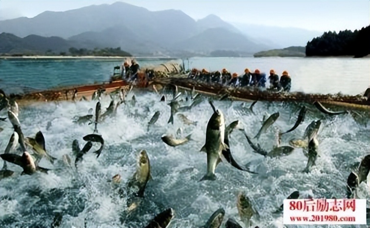 水产养殖纳米银哪个牌子最好,使用纳米银对鱼苗有没有伤害