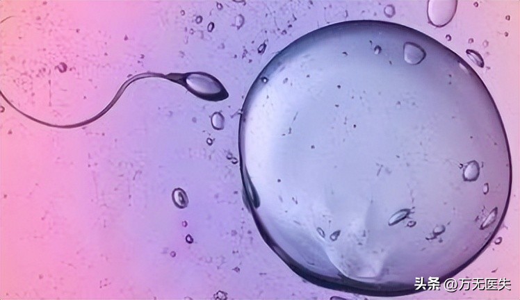 那些进入女性体内,没有成功“受精”的精子,最后都怎样了?
