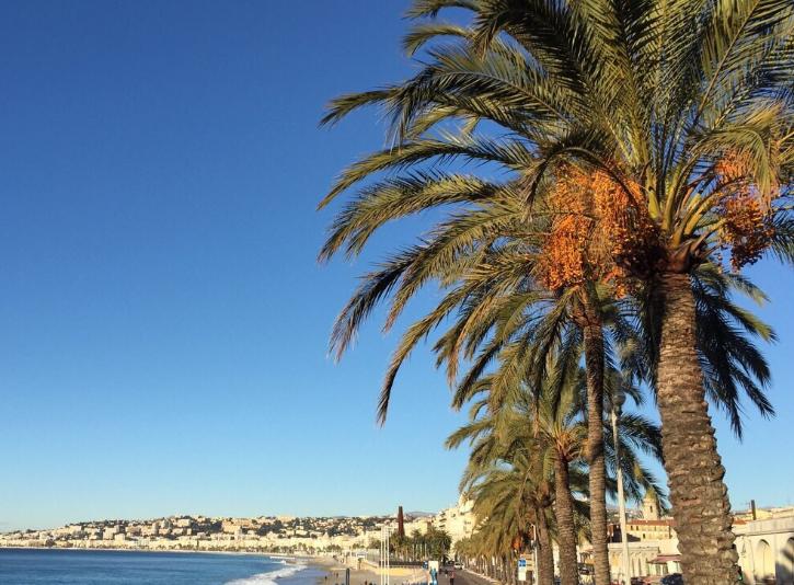 尼斯是什么地方？去那里旅游应该办理什么签证？现在好申请么？