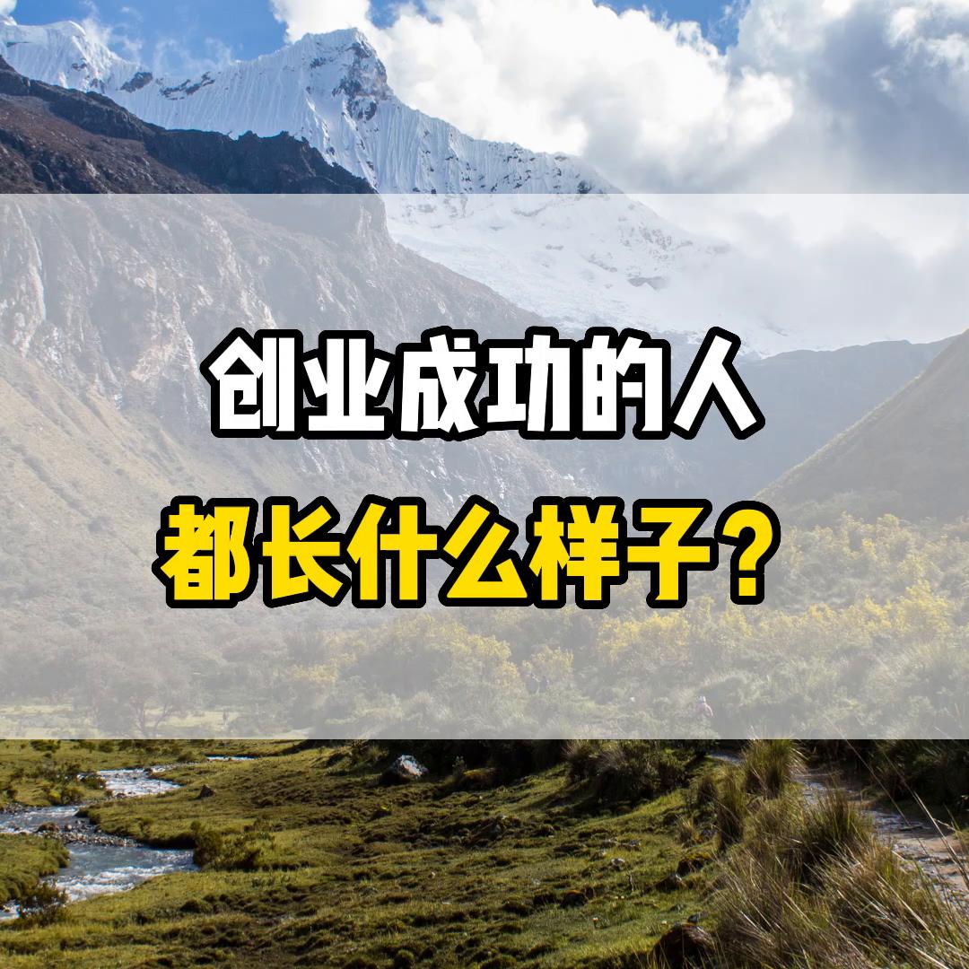 创业不是一腔孤勇而是理性的选择,未来的创业方面