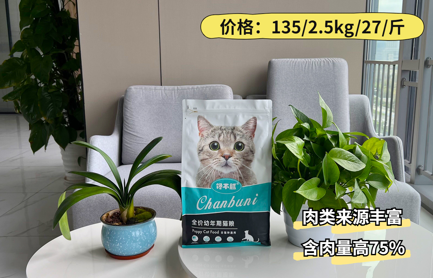 最皮实的猫是什么品种,哪种猫适合新手养比较便宜还好看