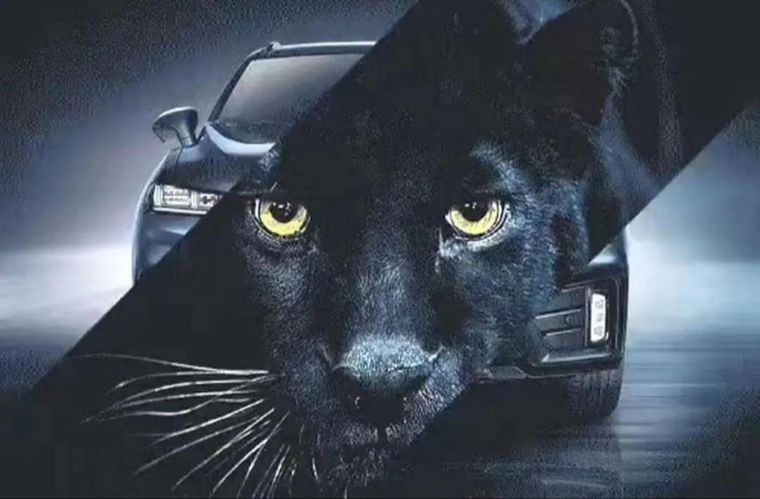 魏80设计,魏80的混动技术