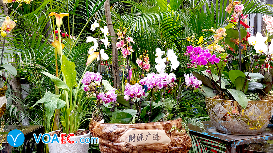 小年英语怎么说,小年的来历用英语怎么说