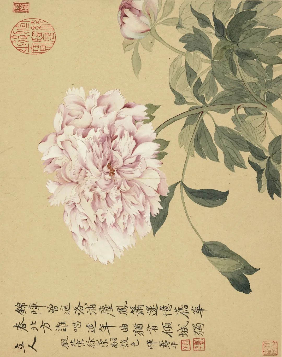 慕容看世界的视频,慕容看世界所有视频