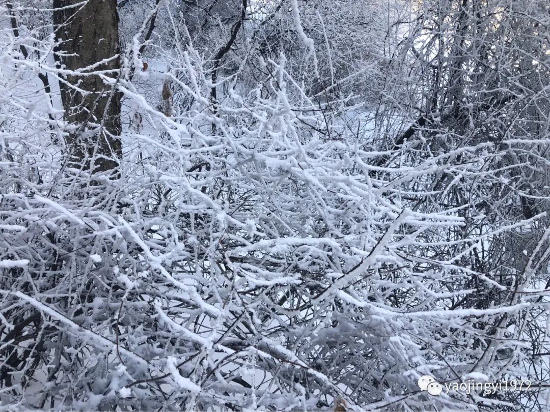 西岳华山不愧为天下第一险山,东岳泰山之雄西岳华山之险