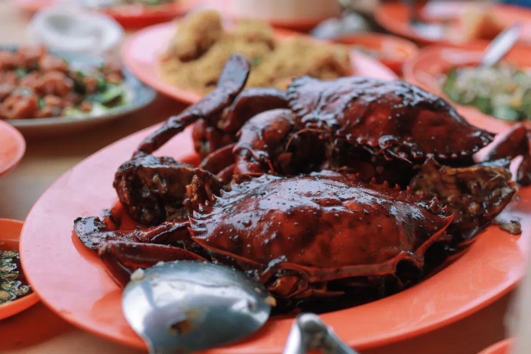 新加坡到马来西亚乐高大巴,从新加坡怎么去马来西亚乐高乐园