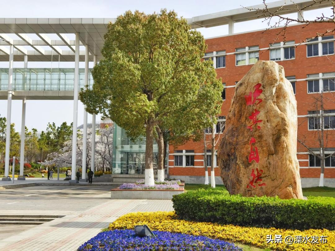 南京外国语仙林分校紫东学校招生,南京外国语仙林分校教育质量怎样