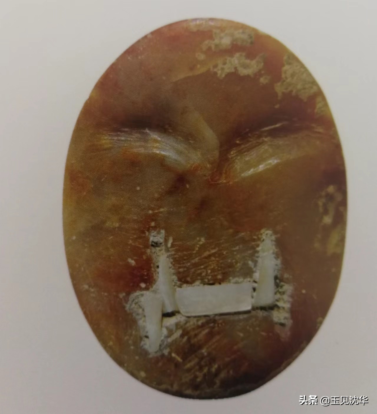 中国玉文化之红山玉器,红山文化玉器的各类造型