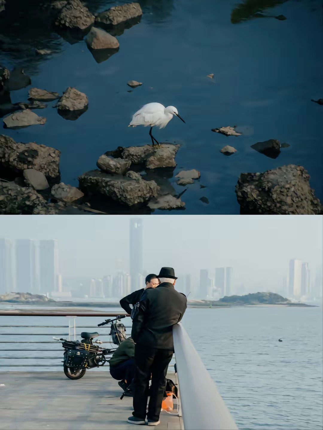 单反佳能50d发售价,单反入门基础教程佳能50d