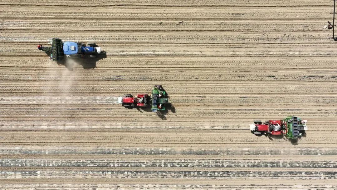 农业部门三抓三促专项行动简报,三抓三促农业生产