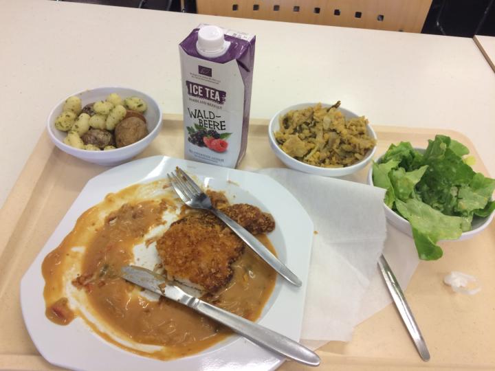 去德国读博士，是一种什么样的体验，经验攻略总结-高凡德国留学