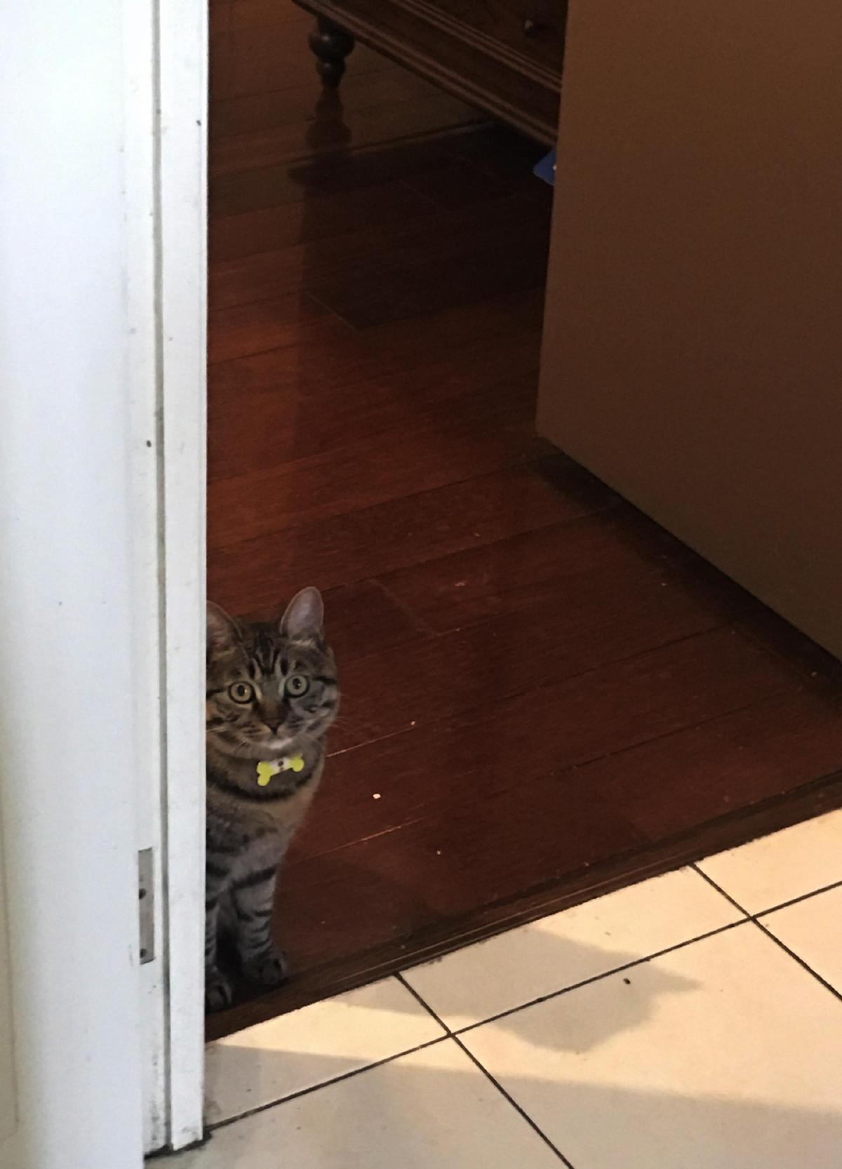 万恶旧社会穷人图片,旧社会老照片高清图片